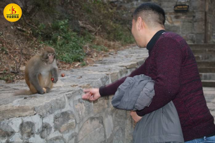 云臺山旅游攻略