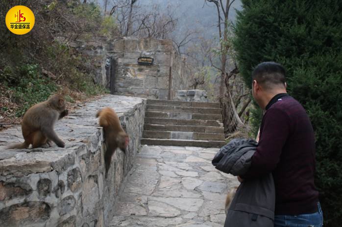 云臺山旅游攻略